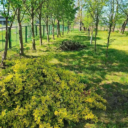 Ibis Budget Stadion *