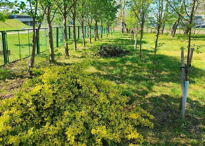 Ibis Budget Stadion *